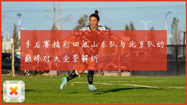 季后赛精彩回放山东队与北京队的巅峰对决全景解析