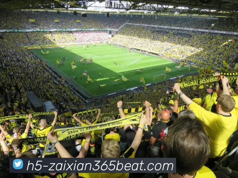 多媒体互动体验